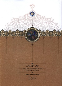 بحر الانساب؛ شرح حال شیخ جام (ژنده‌پیل)، فرزندان و اعقاب وی تا قرن یازدهم 